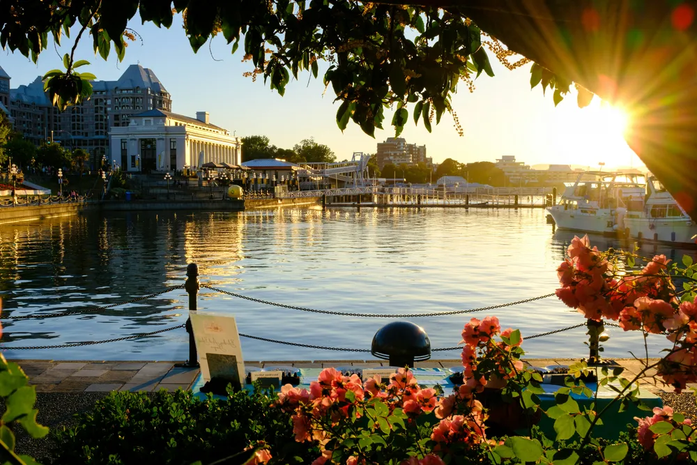 Victoria 1-Day Tour | British Charm & Coastal Gardens — photo 5