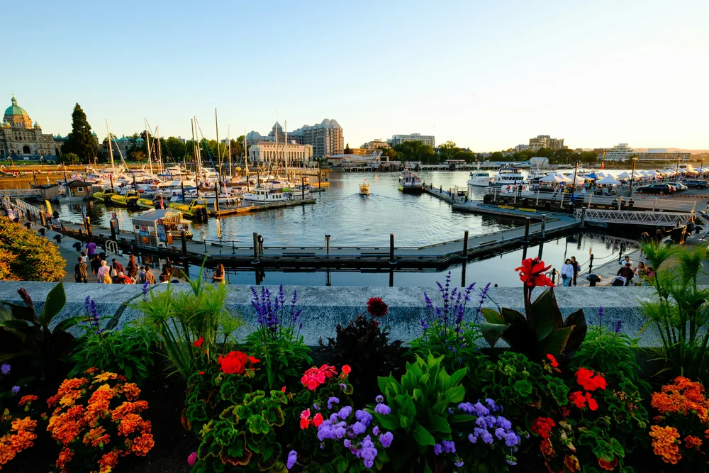 Victoria 1-Day Tour | British Charm & Coastal Gardens — photo 4