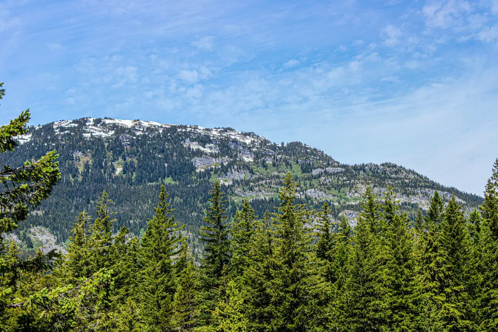 Whistler 1-Day Tour | Sea-to-Sky Highway & Alpine Escape — photo 5